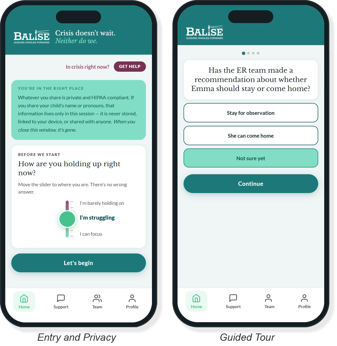Mobile phone views of the entry and privacy screen and example of a guided questions screen